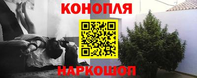шишки Коммунар